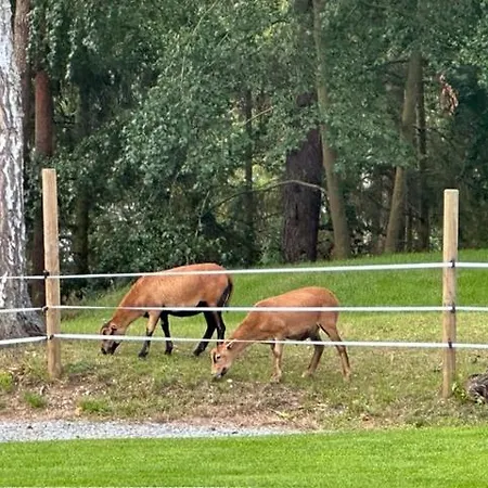 Jarski Domek Semesterbostad *